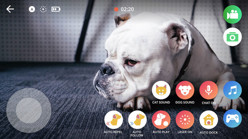 Pebby An advanced smartball that babysits your pet