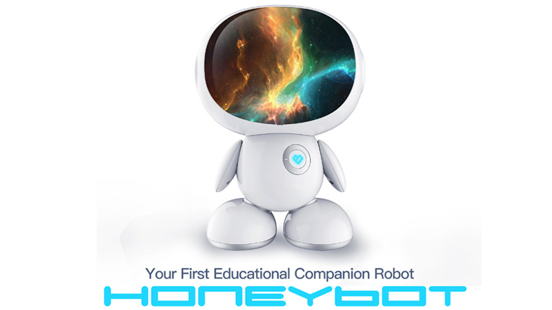 Honeybot educational companion robot