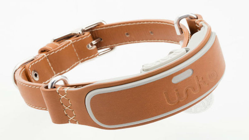 Link AKC Smart Collar