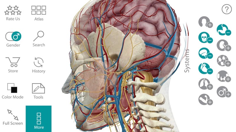 Human Anatomy Atlas